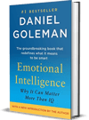 Emotional Intelligence Goleman