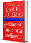 Working with Emotional Intelligence